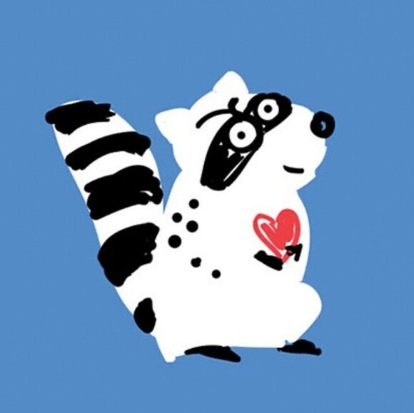 torontoraccoon